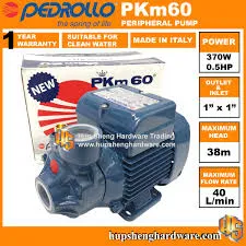 Daynabo Biyoo Pedrollo PKM60
